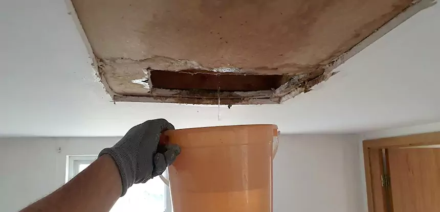 Ceiling Mold Repair Luthersville