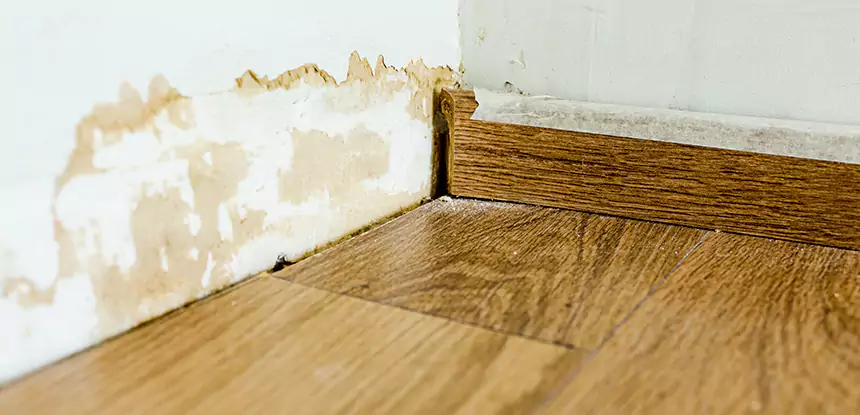 Professional Fix Water Damaged Wood Services in Luthersville, GA